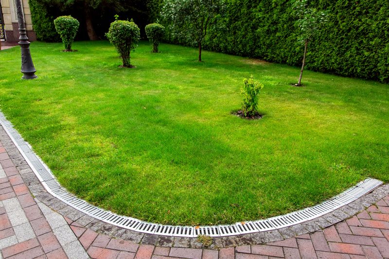 Lawn Drainage in Tuscaloosa, AL